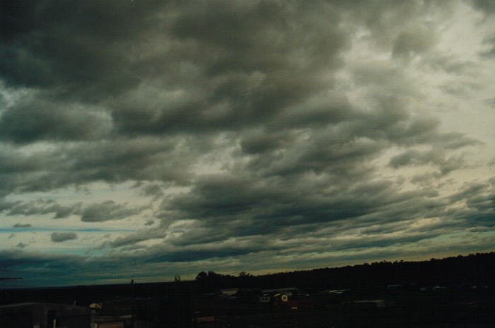 stratocumulus stratocumulus_cloud : Schofields, NSW   15 October 2000