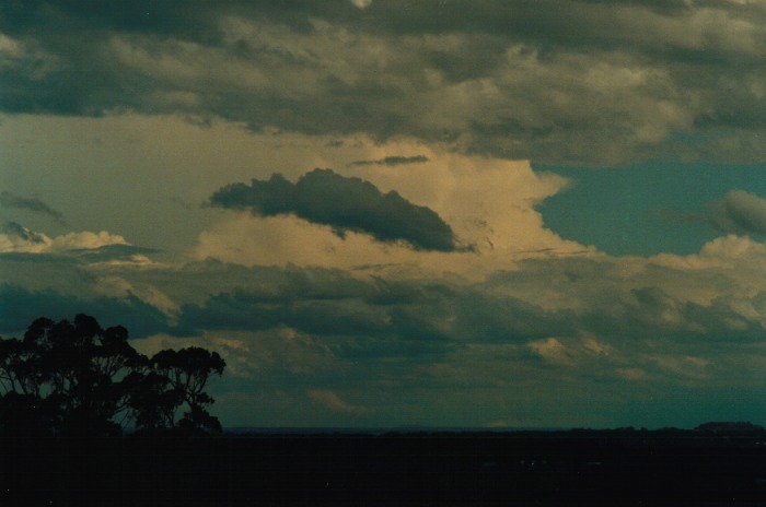 stratocumulus stratocumulus_cloud : Kemps Creek, NSW   19 October 2000