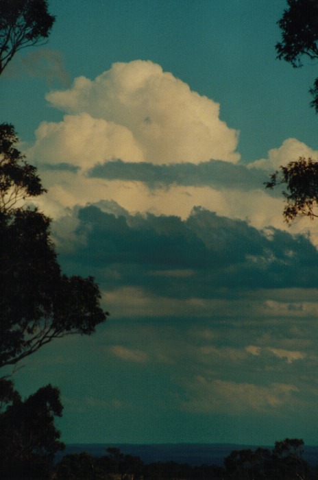 thunderstorm cumulonimbus_incus : Kemps Creek, NSW   19 October 2000