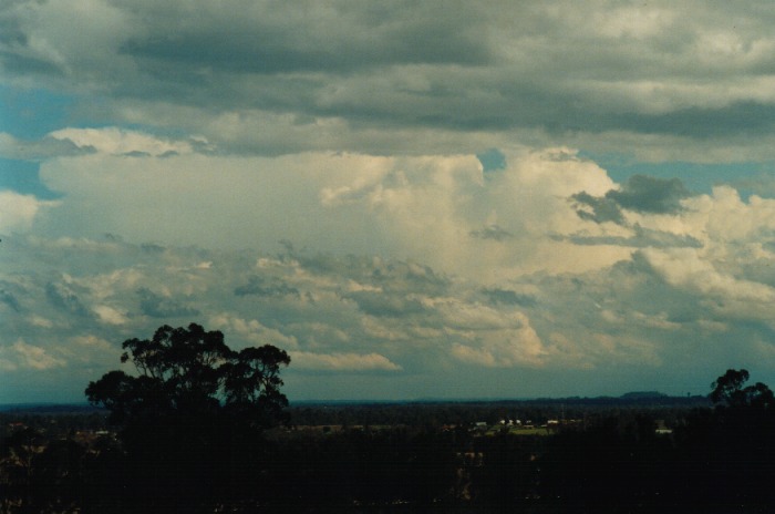 stratocumulus stratocumulus_cloud : Kemps Creek, NSW   19 October 2000