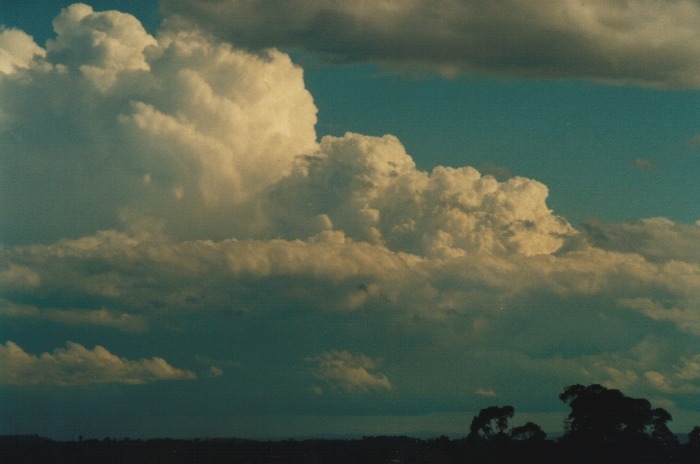 thunderstorm cumulonimbus_incus : Kemps Creek, NSW   19 October 2000