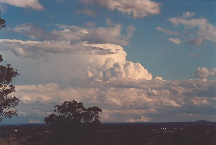 updraft thunderstorm_updrafts : Kemps Creek, NSW   19 October 2000