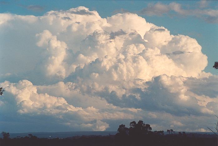 updraft thunderstorm_updrafts : Kemps Creek, NSW   19 October 2000