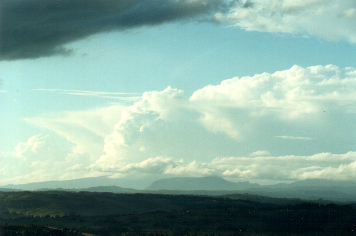 thunderstorm cumulonimbus_incus : McLeans Ridges, NSW   25 October 2000