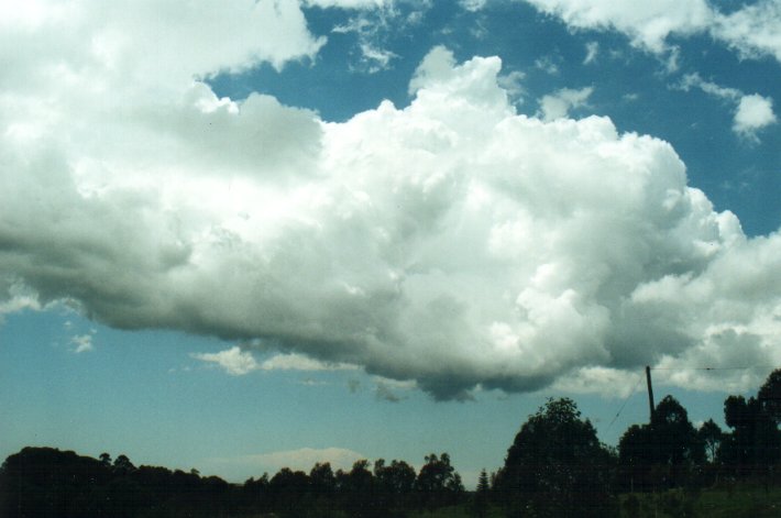 cumulus congestus : McLeans Ridges, NSW   26 October 2000