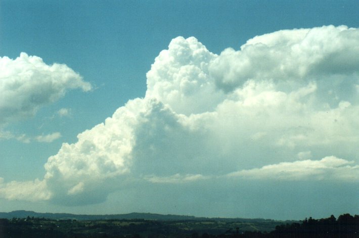 thunderstorm cumulonimbus_calvus : McLeans Ridges, NSW   26 October 2000