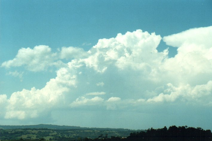 thunderstorm cumulonimbus_calvus : McLeans Ridges, NSW   26 October 2000