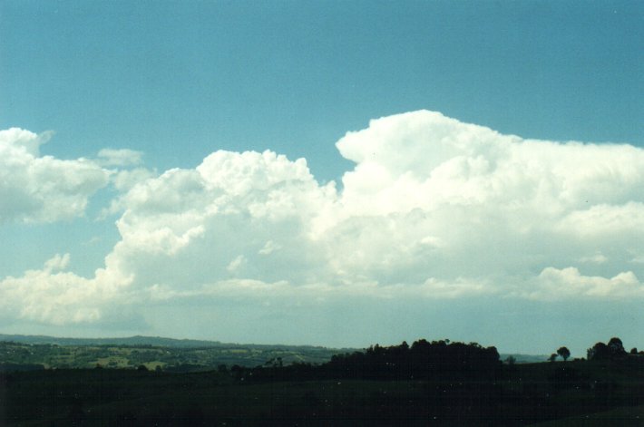 thunderstorm cumulonimbus_calvus : McLeans Ridges, NSW   26 October 2000