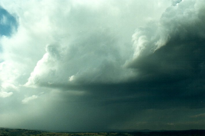 updraft thunderstorm_updrafts : McLeans Ridges, NSW   26 October 2000