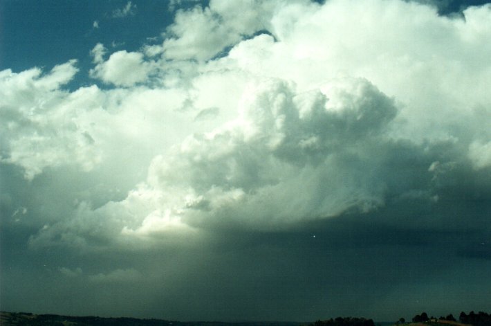 raincascade precipitation_cascade : McLeans Ridges, NSW   26 October 2000