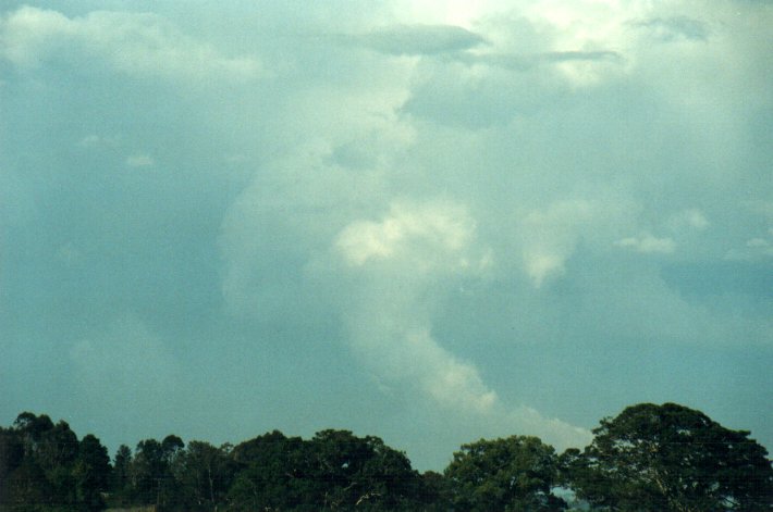 cumulonimbus thunderstorm_base : McLeans Ridges, NSW   26 October 2000