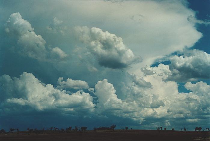 thunderstorm cumulonimbus_incus : Muswellbrook, NSW   3 November 2000