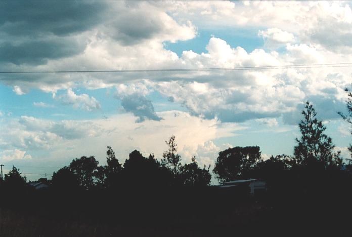 thunderstorm cumulonimbus_incus : Scone, NSW   3 November 2000