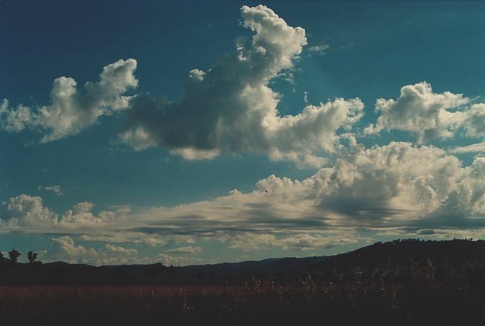 altocumulus castellanus : N of Tamworth, NSW   4 November 2000