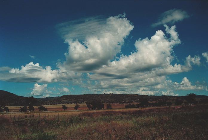 altocumulus castellanus : N of Manilla, NSW   4 November 2000