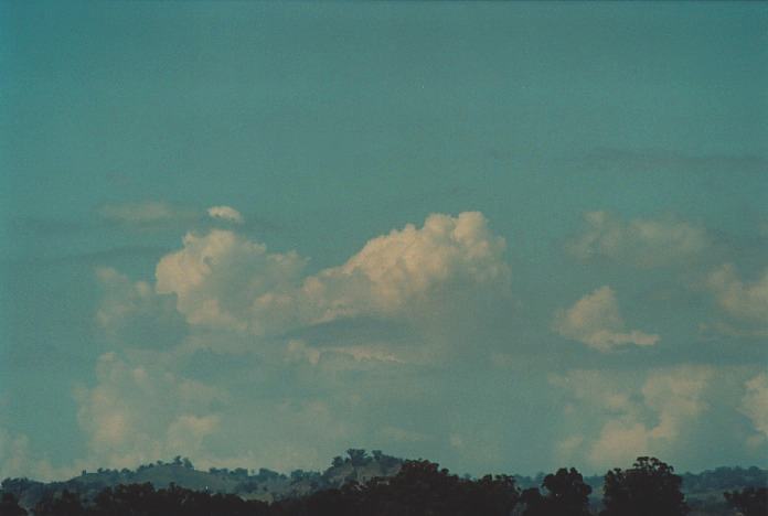 thunderstorm cumulonimbus_calvus : S of Bingara, NSW   4 November 2000