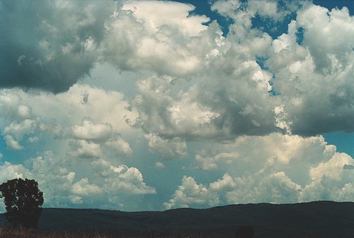 thunderstorm cumulonimbus_incus : Bingara, NSW   4 November 2000