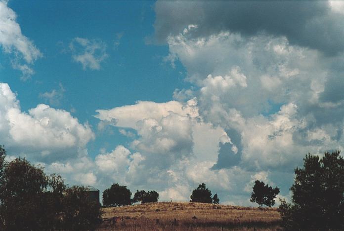 thunderstorm cumulonimbus_incus : Bingara, NSW   4 November 2000