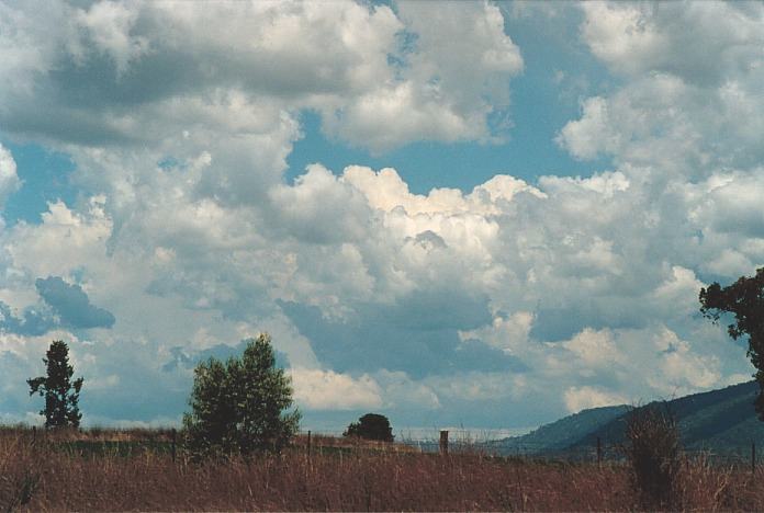 thunderstorm cumulonimbus_calvus : Bingara, NSW   4 November 2000