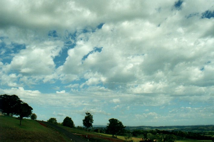 cumulus mediocris : McLeans Ridges, NSW   4 November 2000