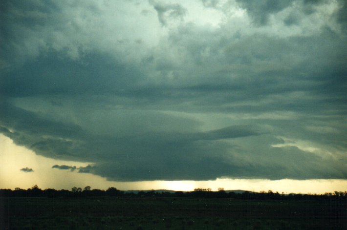 shelfcloud shelf_cloud : E of Casino, NSW   4 November 2000