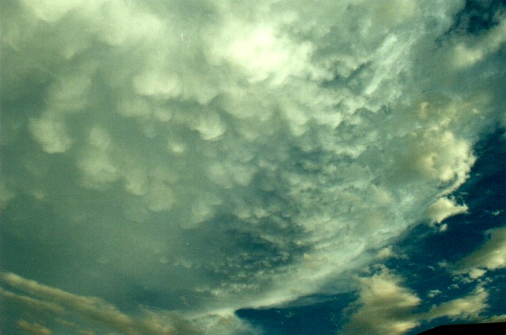 mammatus mammatus_cloud : McLeans Ridges, NSW   4 November 2000