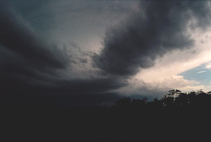 cumulonimbus supercell_thunderstorm : Corindi Beach, NSW   5 November 2000