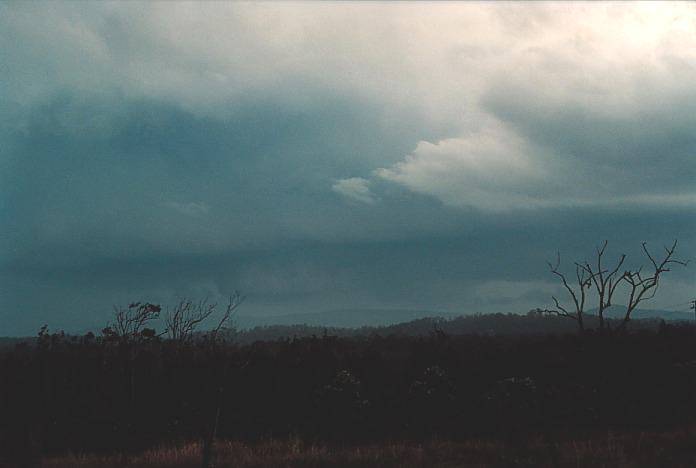 wallcloud thunderstorm_wall_cloud : Corindi Beach, NSW   5 November 2000