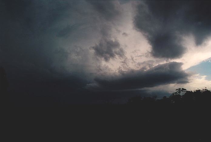 cumulonimbus supercell_thunderstorm : Corindi Beach, NSW   5 November 2000