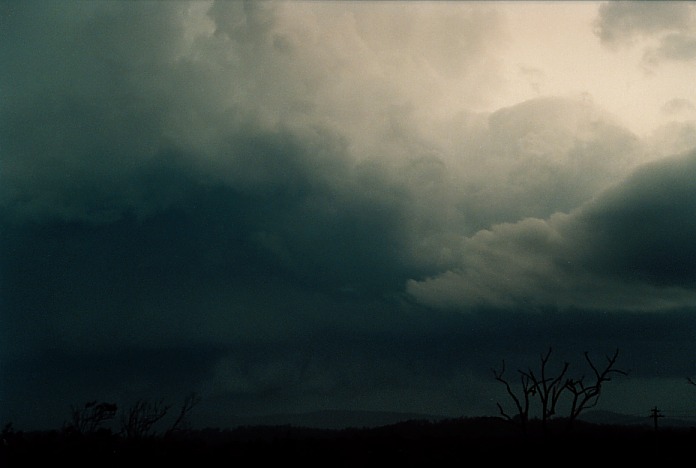 cumulonimbus supercell_thunderstorm : Corindi Beach, NSW   5 November 2000