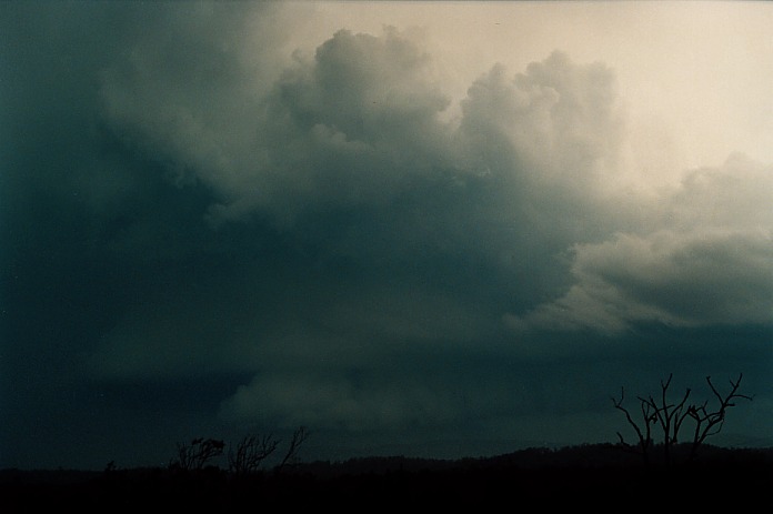 cumulonimbus thunderstorm_base : Corindi Beach, NSW   5 November 2000