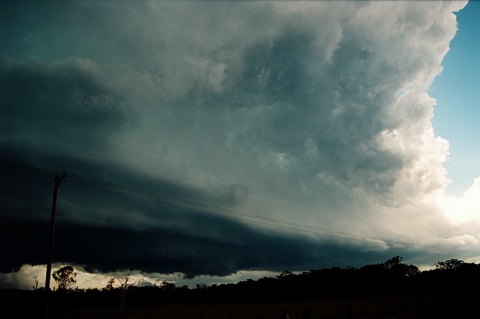 cumulonimbus thunderstorm_base : Corindi, NSW   5 November 2000