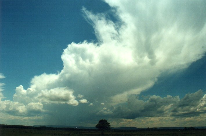 thunderstorm cumulonimbus_incus : N of Casino, NSW   5 November 2000