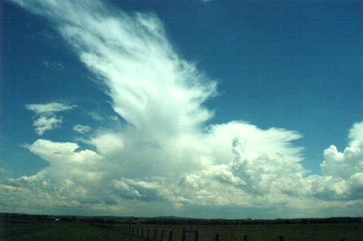 anvil thunderstorm_anvils : N of Casino, NSW   5 November 2000