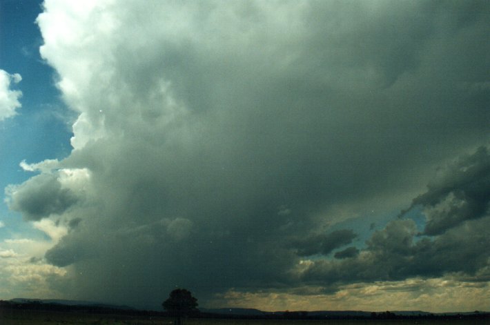 anvil thunderstorm_anvils : N of Casino, NSW   5 November 2000