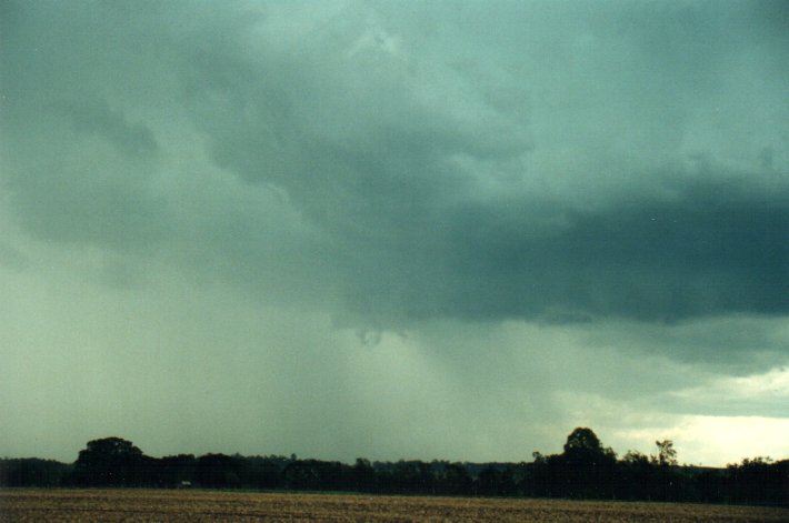 raincascade precipitation_cascade : S of Kyogle, NSW   5 November 2000