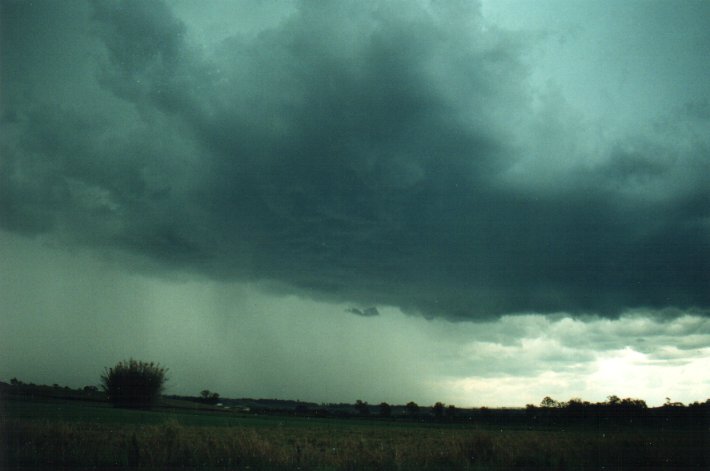 raincascade precipitation_cascade : S of Kyogle, NSW   5 November 2000