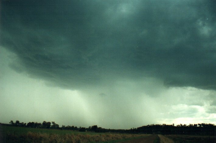 cumulonimbus thunderstorm_base : S of Kyogle, NSW   5 November 2000