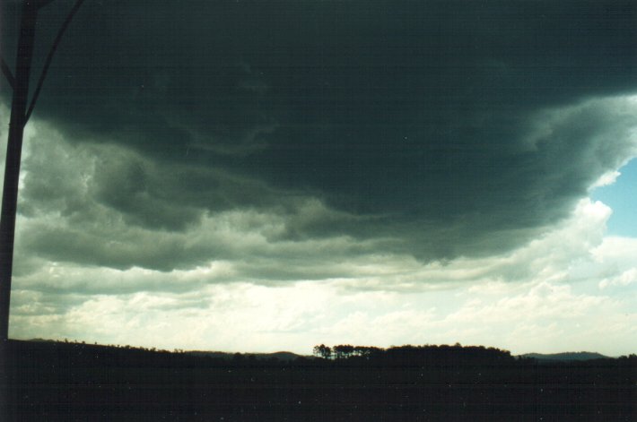 cumulonimbus thunderstorm_base : S of Kyogle, NSW   5 November 2000