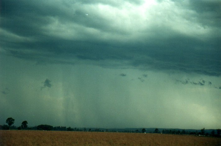 cumulonimbus thunderstorm_base : S of Kyogle, NSW   5 November 2000