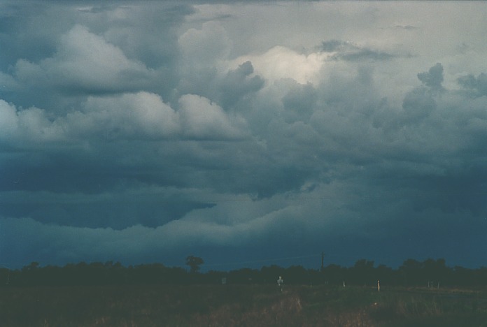 cumulonimbus thunderstorm_base : Bourke, NSW   19 November 2000