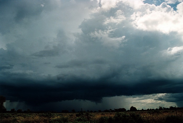 raincascade precipitation_cascade : Bourke, NSW   19 November 2000