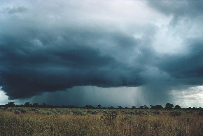 raincascade precipitation_cascade : Bourke, NSW   19 November 2000