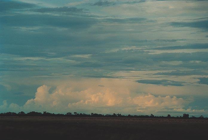 thunderstorm cumulonimbus_incus : 100km N of Bourke, NSW   19 November 2000