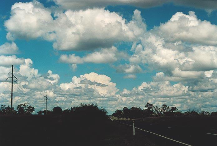 thunderstorm cumulonimbus_incus : 50km W of Mitchell, Qld   20 November 2000