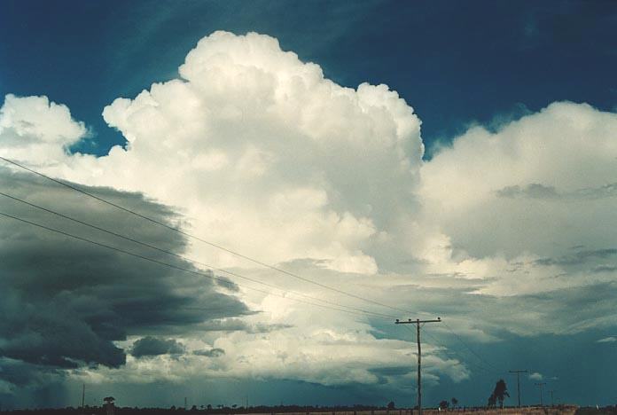 thunderstorm cumulonimbus_incus : E of Roma, Qld   20 November 2000