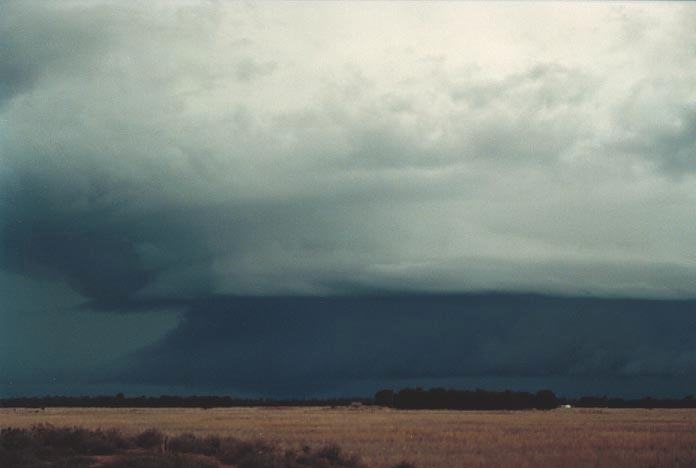 wallcloud thunderstorm_wall_cloud : W of Chinchilla, Qld   20 November 2000