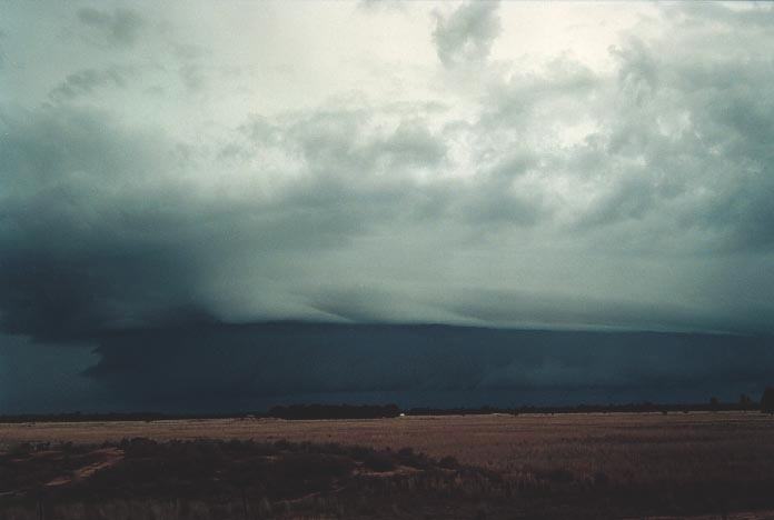 cumulonimbus thunderstorm_base : W of Chinchilla, Qld   20 November 2000