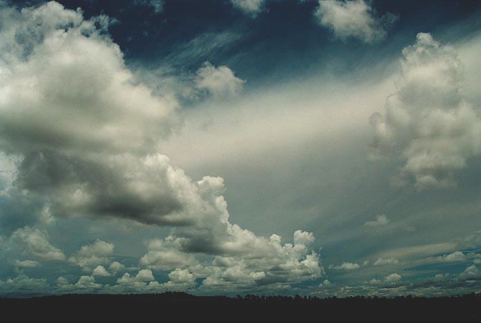 cumulus mediocris : N of Miles, Qld   21 November 2000