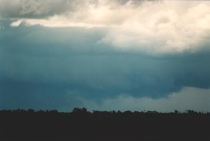 raincascade precipitation_cascade : 100km N of Miles, Qld   21 November 2000